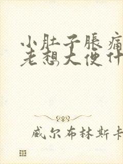 小肚子胀痛下坠老想大便什么原因