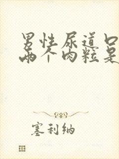 男性尿道口长了两个肉粒是怎么回事