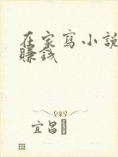 在家写小说怎么赚钱