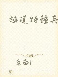 极道特种兵