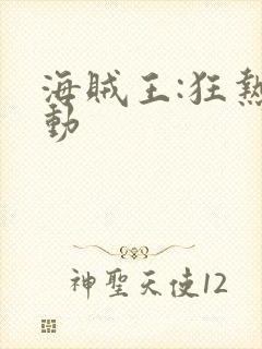 海贼王:狂热行动