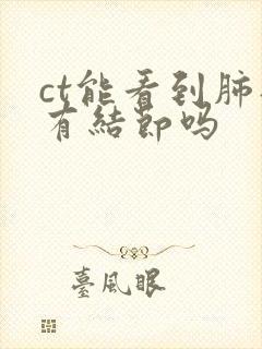 ct能看到肺部有结节吗