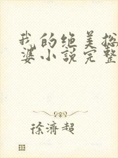 我的绝美总裁老婆小说完整版