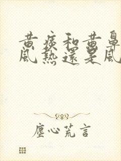 黄痰和黄鼻涕是风热还是风寒封面