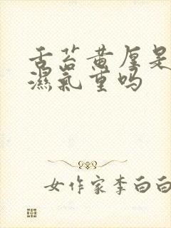 舌苔黄厚是体内湿气重吗封面