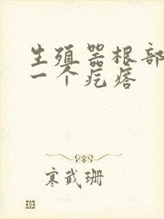 生殖器根部起了一个疙瘩