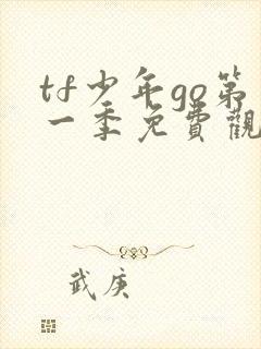 tf少年go第一季免费观看完整版