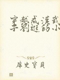 穿越成汉武帝孙子刘进的小说封面