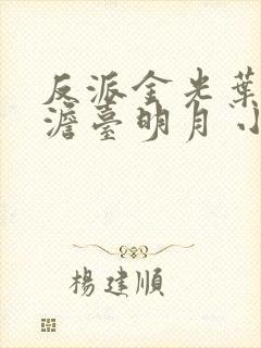 反派金光叶玄,澹台明月 小说