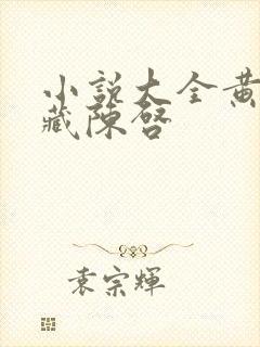 小说大全黄帝秘藏陈启封面