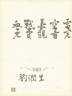 血战长空电视剧免费观看完整版封面