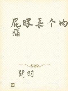 屁眼长个肉球很痛封面