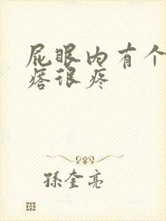 屁眼内有个硬疙瘩很疼