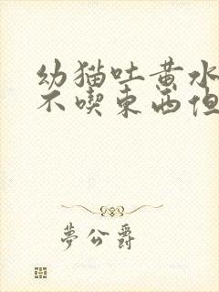 幼猫吐黄水拉稀不吃东西但是精神很好