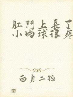 肛门上长了一个小肉球很疼封面