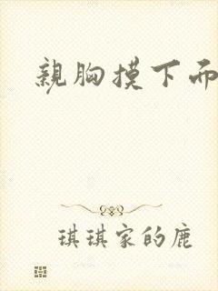 亲胸摸下面视频