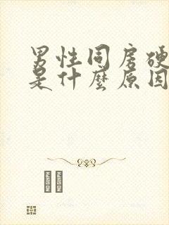 男性同房硬不起是什么原因