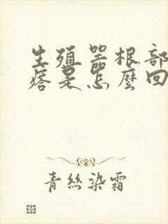 生殖器根部长疙瘩是怎么回事