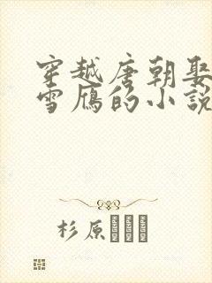 穿越唐朝娶了李雪雁的小说封面