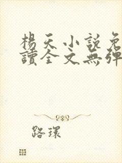 杨天小说免费阅读全文无弹窗