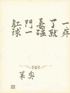 肛门长了一个肉球一碰就疼封面