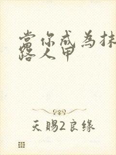 当你成为抹布文路人甲封面