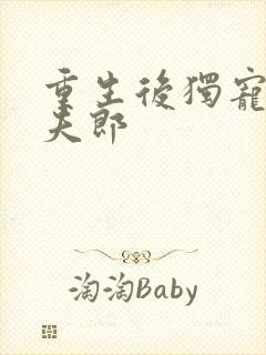 重生后独宠哑巴夫郎