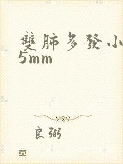 双肺多发小结节5mm