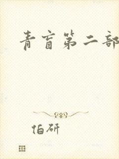 青盲第二部封面
