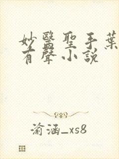 妙医圣手叶皓轩有声小说