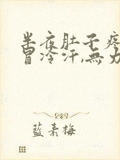 半夜肚子疼浑身冒冷汗,无力封面