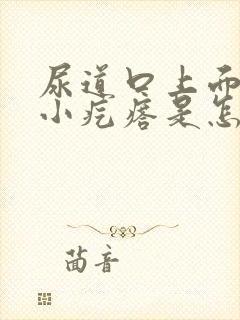 尿道口上面上了小疙瘩是怎么回事封面