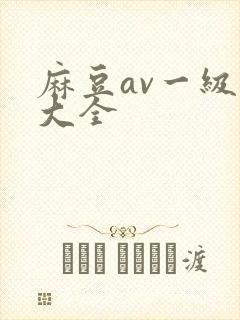 麻豆av一级片大全