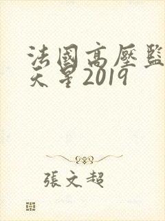 法国高压监狱满天星2019封面