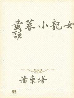 黄蓉小龙女h小说