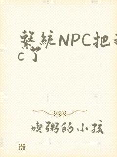 系统NPC把我c了
