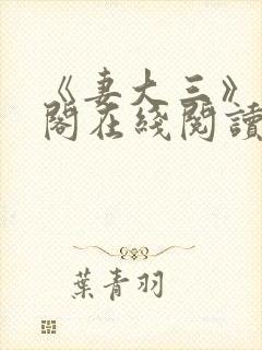 《妻大三》笔趣阁在线阅读封面