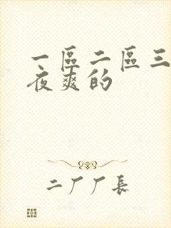 一区二区三区夜夜爽的封面
