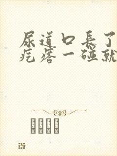 尿道口长了个肉疙瘩一碰就疼封面