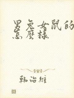 男兔女鼠的婚姻怎么样