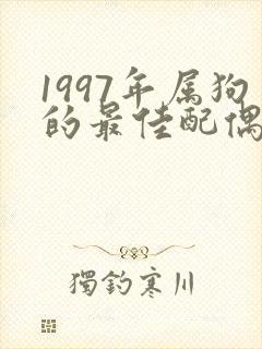 1997年属狗的最佳配偶封面