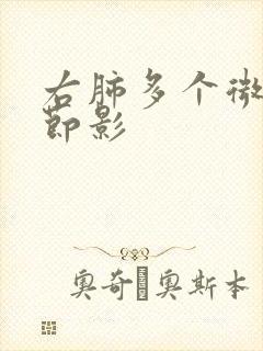 右肺多个微小结节影