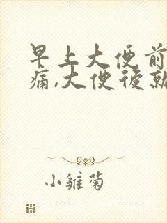 早上大便前肚子痛,大便后就好了