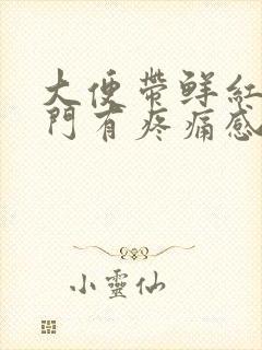 大便带鲜红血肛门有疼痛感