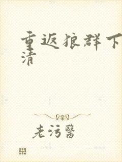 重返狼群下载高清