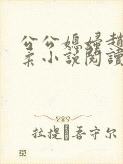 公公媳妇赵刚苏柔小说阅读
