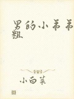 男的小弟弟有多粗