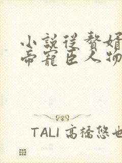 小说从赘婿到女帝宠臣人物介绍