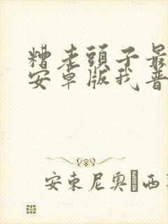 糟老头子最新版安卓版我普通版封面