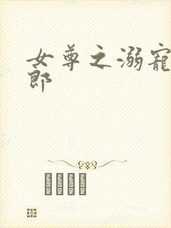 女尊之溺宠怯夫郎